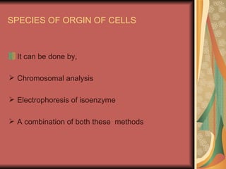SPECIES OF ORGIN OF CELLS



  It can be done by,

 Chromosomal analysis

 Electrophoresis of isoenzyme

 A combination of both these methods
 