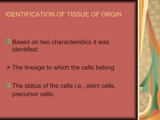 IDENTIFICATION OF TISSUE OF ORGIN



  Based on two characteristics it was
  identified:

 The lineage to which the cells belong

  The status of the cells i.e., stem cells,
  precursor cells.
 