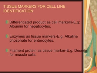TISSUE MARKERS FOR CELL LINE
IDENTIFICATION

  Differentiated product as cell markers-E.g:
  Albumin for hepatocytes.

  Enzymes as tissue markers-E.g: Alkaline
  phosphate for enterocytes.

  Filament protein as tissue marker-E.g: Desmin
  for muscle cells.
 