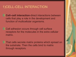 1)CELL-CELL INTERACTION

 Cell–cell interaction-direct interactions between
 cells that play a role in the development and
 function of multicellular organisms.

 Cell adhesion occurs through cell surface
 receptors for the molecules in the extra cellular
 matrix.

 That cells secrete matrix proteins which spread on
 the substrate. Then the cells bind to matrix
 through receptors.
 