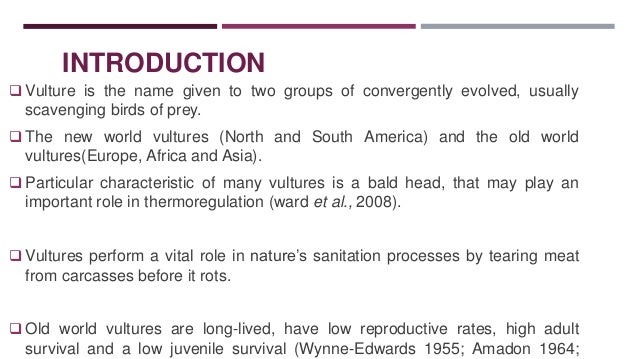 an introduction to the comparison of new world vultures and old world vultures World, folk media refer to traditional and modern media over the ages, different genres, old or new, have something to offer for instance,. an introduction to the comparison of new world vultures and old world vultures World, folk media refer to traditional and modern media over the ages, different genres, old or new, have something to offer for instance,.