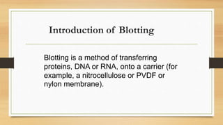 Introduction of Blotting
Blotting is a method of transferring
proteins, DNA or RNA, onto a carrier (for
example, a nitrocellulose or PVDF or
nylon membrane).
 