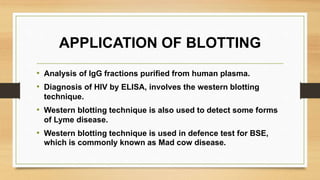 APPLICATION OF BLOTTING
• Analysis of IgG fractions purified from human plasma.
• Diagnosis of HIV by ELISA, involves the western blotting
technique.
• Western blotting technique is also used to detect some forms
of Lyme disease.
• Western blotting technique is used in defence test for BSE,
which is commonly known as Mad cow disease.
 