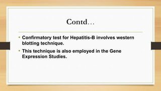 Contd…
• Confirmatory test for Hepatitis-B involves western
blotting technique.
• This technique is also employed in the Gene
Expression Studies.
 