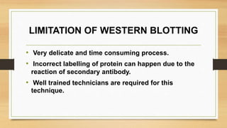 LIMITATION OF WESTERN BLOTTING
• Very delicate and time consuming process.
• Incorrect labelling of protein can happen due to the
reaction of secondary antibody.
• Well trained technicians are required for this
technique.
 