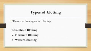 Types of blotting
• There are three types of blotting:
1- Southern Blotting
2- Northern Blotting
3- Western Blotting
 