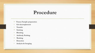 Procedure
• Tissue/Sample preparation
• Gel electrophoresis
• Transfer
• Staining
• Blocking
• Antibody Probing
• Washing
• Detection
• Analysis & Imaging
 