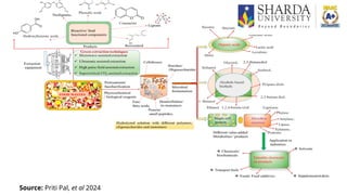 Development of Functional Foods Using Food Processing By-products: A ...