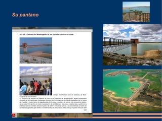 Su pantano 
 