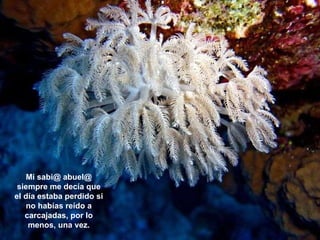 Mi sabi@ abuel@ siempre me decía que el día estaba perdido si no habías reído a carcajadas, por lo menos, una vez. 