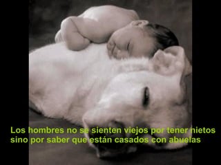 Los hombres no se sienten viejos por tener nietos sino por saber que están casados con abuelas 