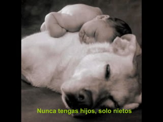 Nunca tengas hijos, solo nietos

 