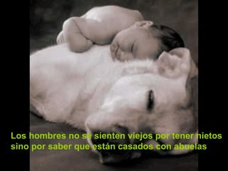 Los hombres no se sienten viejos por tener nietos
sino por saber que están casados con abuelas

 