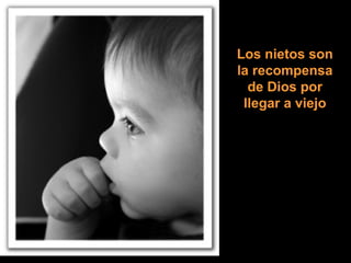 Los nietos son
la recompensa
de Dios por
llegar a viejo

 