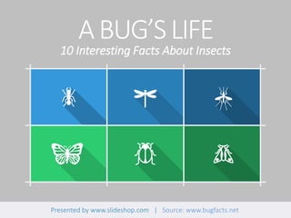 ABUG’SLIFE
Presented by www.slideshop.com | Source: www.bugfacts.net
10 Interesting Facts About Insects
 
