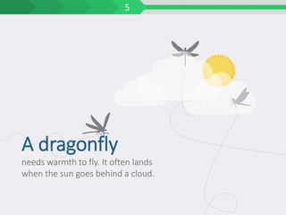 needs warmth to fly. It often lands
when the sun goes behind a cloud.
A dragonfly
5
 