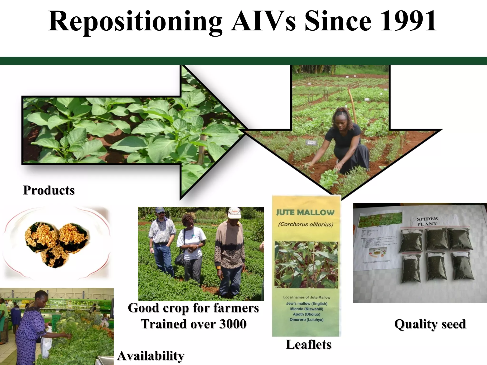 Repositioning AIVs Since 1991
Quality seedQuality seed
LeafletsLeaflets
Good crop for farmersGood crop for farmers
Trained over 3000Trained over 3000
AvailabilityAvailability
ProductsProducts
 