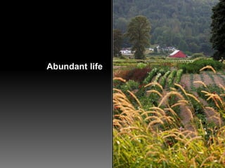 Abundant life
 