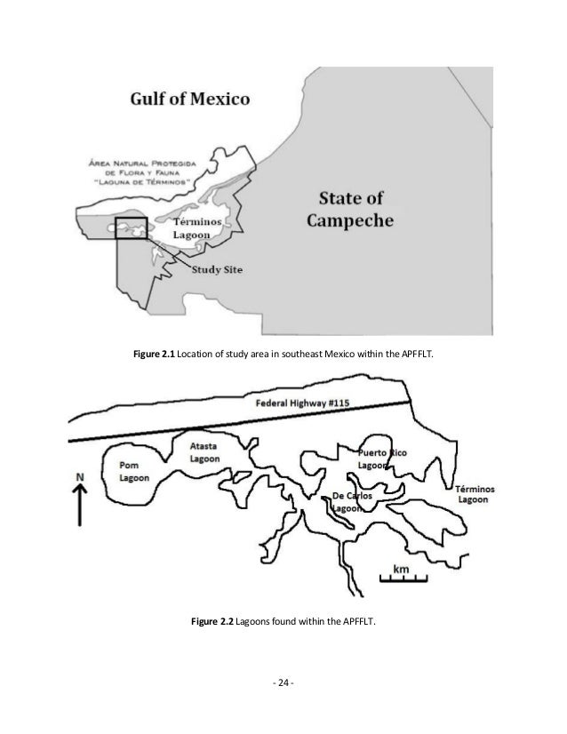 In the thesis formula a+b+c+d what is c image