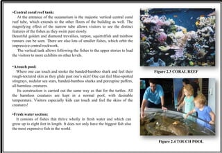 •Central coral reef tank:
At the entrance of the oceanarium is the majestic vertical central coral
reef tube, which extends to the other floors of the building as well. The
magnifying effect of the narrow tube allows visitors to see the distinct
features of the fishes as they swim past slowly.
Beautiful golden and diamond trevallies, tarpon, squirrelfish and rainbow
runners can be seen. There are also lots of smaller fishes, which orbit the
impressive central rockwork.
The vertical tank allows following the fishes to the upper stories to lead
the visitors to more exhibits on other levels.
•A touch pool:
Where one can touch and stroke the banded-bamboo shark and feel their
rough-textured skin as they glide past one’s skin! One can feel blue-spotted
stingrays, nodular sea stars, banded-bamboo sharks and porcupine puffers,
all harmless creatures.
Its construction is carried out the same way as that for the turtles. All
the harmless creatures are kept in a normal pool, with desirable
temperature. Visitors especially kids can touch and feel the skins of the
creatures!
Figure 2.4 TOUCH POOL
Figure 2.3 CORAL REEF
•Fresh water section:
It consists of fishes that thrive wholly in fresh water and which can
grow up to eight feet in length. It does not only have the biggest fish also
the most expensive fish in the world.
 