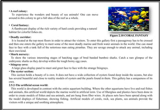 • A reef colony:
To experience the wonders and beauty of sea animals! One can move
around in this colony to get a full idea of the reef as a whole.
• Coral fantasy:
A flamboyant display of the rich variety of hard corals providing a natural
habitat for colorful fishes etc.
• Deadly corridor:
It is located at the top most floors in order to attract the visitors. To enter this gallery first a passageway has to be crossed
and then one enters the gallery to meet some of the most deadly marine and fresh water animals in the world. One can stand
face to face with a tank full of the notorious man eating piranhas. They are savage enough to attack any animal, including
their own kind.
• Shark nursery:
To show the various interesting stages of hatching eggs of bred banded bamboo sharks. Catch a rare glimpse of the
embryonic sharks as they develop within the tough horny egg cases.
• Stingray cove:
A large glass display panel to meet and greet face to face with the strange Stingrays.
• The oyster section:
This section holds a beauty of is own. It does not have a wide collection of oysters found deep inside the oceans, but also
has several beautiful and close to reality models of oysters and the pearls found in them. This gallery has a uniqueness of its
own.
2.5.2-The artificial ocean world:
This world is developed in contrast with the entire aquarium building. Where the other aquariums have live and real fishes
and animals, this artificial world depicts the marine world in artificial term. Use of fiberglass and plastics have been done in
order to create models of fishes and sea animals, and are hung from fiber wires. At places nets have been spread along with
the model displays of fisherman, showing fishing. Artificial models of corals, rock, sea plants, sea animals provide the
visitors with a unique and soothing atmosphere.
Figure 2.10 CORAL FANTASY
 