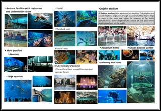 Leisure Pavilion with restaurant
and underwater vision
 Main pavilion
• Aquarium
•Tunnel
• The shark tank
• Touch Tanks
• The artificial lake, musical fountain and
open air forum
•Dolphin stadium
Swimming with fishes
 Large aquarium
A Dolphin stadium is an aquarium for dolphins. The dolphins are
usually kept in a large pool, though occasionally they may be kept
in pens in the open sea, either for research or for public
performances. Some dolphinariums consist of one pool where
dolphins perform for the public.
• Aquarium Films • Ocean Science Center
• Secondary Pavilion
 