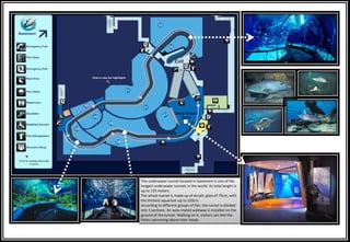 The underwater tunnel located in basement is one of the
longest underwater tunnels in the world. Its total length is
up to 155 meters.
The whole tunnel is made up of Acrylic glass of 75cm, with
the thickest aquarium up to 220cm.
According to different groups of fish, the tunnel is divided
into 5 sections. An auto-mated walkway is installed on the
ground of the tunnel. Walking on it, visitors can feel the
fishes swimming above their heads
 
