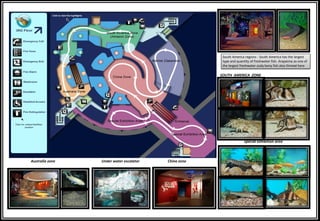 SOUTH AMERICA ZONE
Special exhibition area
China zoneUnder water escalatorAustralia zone
South America regions - South America has the largest
type and quantity of freshwater fish. Arapaima as one of
the largest freshwater scaly bony fish also thrived here
 