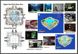 NORTH ATLANTIC
ANTARCTIC
TEMPERATE PACIFIC TROPICAL INDIAN
Second floor plan
Ice cream parlor
Water &salt – restaurant
Cafeteria.
Upper level first floor plan
CENTRAL TANK
 