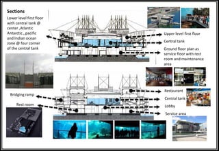 Upper level first floor
Central tank
Ground floor plan as
service floor with rest
room and maintenance
area
Lower level first floor
with central tank @
center ,Atlantic
Antarctic , pacific
and Indian ocean
zone @ four corner
of the central tank
Restaurant
Central tank
Lobby
Service area
Bridging ramp
Rest room
Sections
 