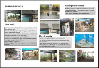 BUILDING SERVICES
Internal part of building a fresh water pipe are laying along
with aquarium tank.
Water of the Aquarium tank changes at end of the each
month or whenever required.
 water of the aquarium tank a Recycle water and drain off
and the recycle water are not used again.
 Capacity of water aquarium tank is 38000 liters.
Around the building 1.5 m deep artificial pond provided for
boating, jumping , snakes, ducks etc.
 Total lake area is 560 sq.m.
 Discharging and filling water of pond is done with the help
of pump.
water proof light are installed in aquarium tanks.
air pump, light and temperature are maintained through
the electricity.
Blue, yellow colored are installed in the aquarium tank.
Around the lake artificial light are installed for decoration
and lighting purpose at night.
For the maintenance of the Aquarium 3 care taker with
Around the building 1 meter wide corridor is provided
for fish caring and food.
time to time cleaning of each tank and pond.
Water supply
Electric supply
Building maintenance
 