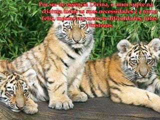 Por ser de essência Divina, o amor supre na criatura todas as suas necessidades e a torna feliz, mesmo em meio às dificuldades, lutas e tristezas.