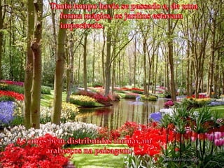 Tanto tempo havia se passado e, de uma forma mágica, os jardins estavam impecáveis. As cores bem distribuídas formavam arabescos na paisagem.