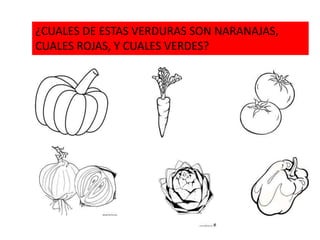 ¿CUALES DE ESTAS VERDURAS SON NARANAJAS,
CUALES ROJAS, Y CUALES VERDES?
 