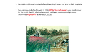 • Pesticide residues are not only found in animal tissues but also in their products.
• For example, in Oahu, Hawaii, in 1982, 80%of the milk supply, was condemned
by the public health officials because it had been contaminated with the
insecticide heptachlor (Baker et al., 2003).
 