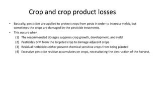 Crop and crop product losses
• Basically, pesticides are applied to protect crops from pests in order to increase yields, but
sometimes the crops are damaged by the pesticide treatments.
• This occurs when
(1) The recommended dosages suppress crop growth, development, and yield
(2) Pesticides drift from the targeted crop to damage adjacent crops
(3) Residual herbicides either prevent chemical sensitive crops from being planted
(4) Excessive pesticide residue accumulates on crops, necessitating the destruction of the harvest.
7
 