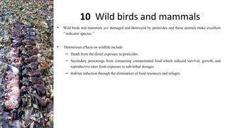 10 Wild birds and mammals
• Wild birds and mammals are damaged and destroyed by pesticides and these animals make excellent
‘‘indicator species.’’
• Deleterious effects on wildlife include
– Death from the direct exposure to pesticides
– Secondary poisonings from consuming contaminated food which reduced survival, growth, and
reproductive rates from exposure to sub-lethal dosages
– Habitat reduction through the elimination of food resources and refuges.
 