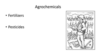 Agrochemicals
• Fertilizers
• Pesticides
 