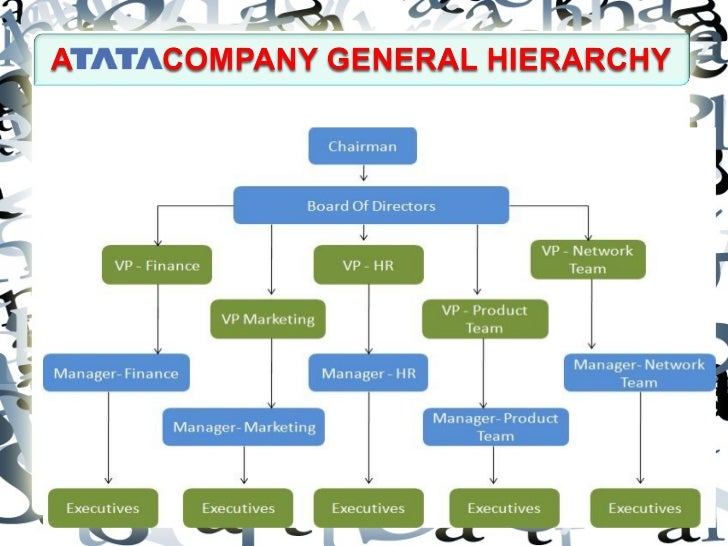 A business organisation -TATA GROUP- pdf