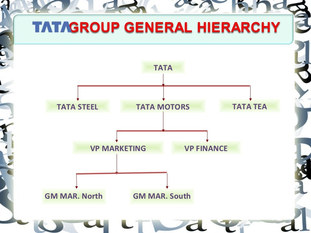 A business organisation TATA GROUP pdf