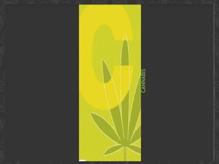 CANNABIS
 