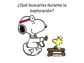 ¿Qué buscarías durante la exploración?  