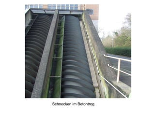 Schnecken im Betontrog