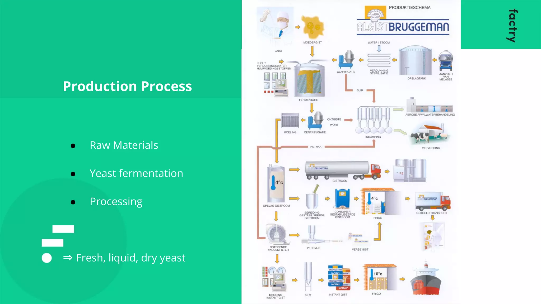 ● Raw Materials
● Yeast fermentation
● Processing
⇒ Fresh, liquid, dry yeast
Production Process
 