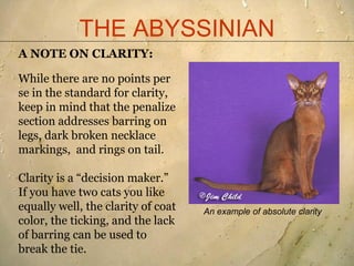 THE ABYSSINIAN
A NOTE ON CLARITY:

While there are no points per
se in the standard for clarity,
keep in mind that the pen...