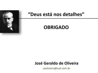 “Deus está nos detalhes”
OBRIGADO
José Geraldo de Oliveira
zooliveira@uol.com.br
 