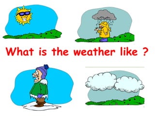 What is the weather like ? 