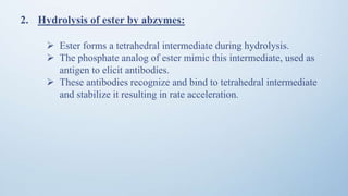 2. Hydrolysis of ester by abzymes:
 Ester forms a tetrahedral intermediate during hydrolysis.
 The phosphate analog of ester mimic this intermediate, used as
antigen to elicit antibodies.
 These antibodies recognize and bind to tetrahedral intermediate
and stabilize it resulting in rate acceleration.
 