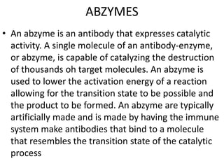 ABZYMES
• An abzyme is an antibody that expresses catalytic
activity. A single molecule of an antibody-enzyme,
or abzyme, is capable of catalyzing the destruction
of thousands oh target molecules. An abzyme is
used to lower the activation energy of a reaction
allowing for the transition state to be possible and
the product to be formed. An abzyme are typically
artificially made and is made by having the immune
system make antibodies that bind to a molecule
that resembles the transition state of the catalytic
process
 