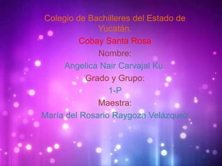 Colegio de Bachilleres del Estado de
Yucatán.
Cobay Santa Rosa
Nombre:
Angelica Nair Carvajal Ku.
Grado y Grupo:
1-P
Maestra:
María del Rosario Raygoza Velázquez
 